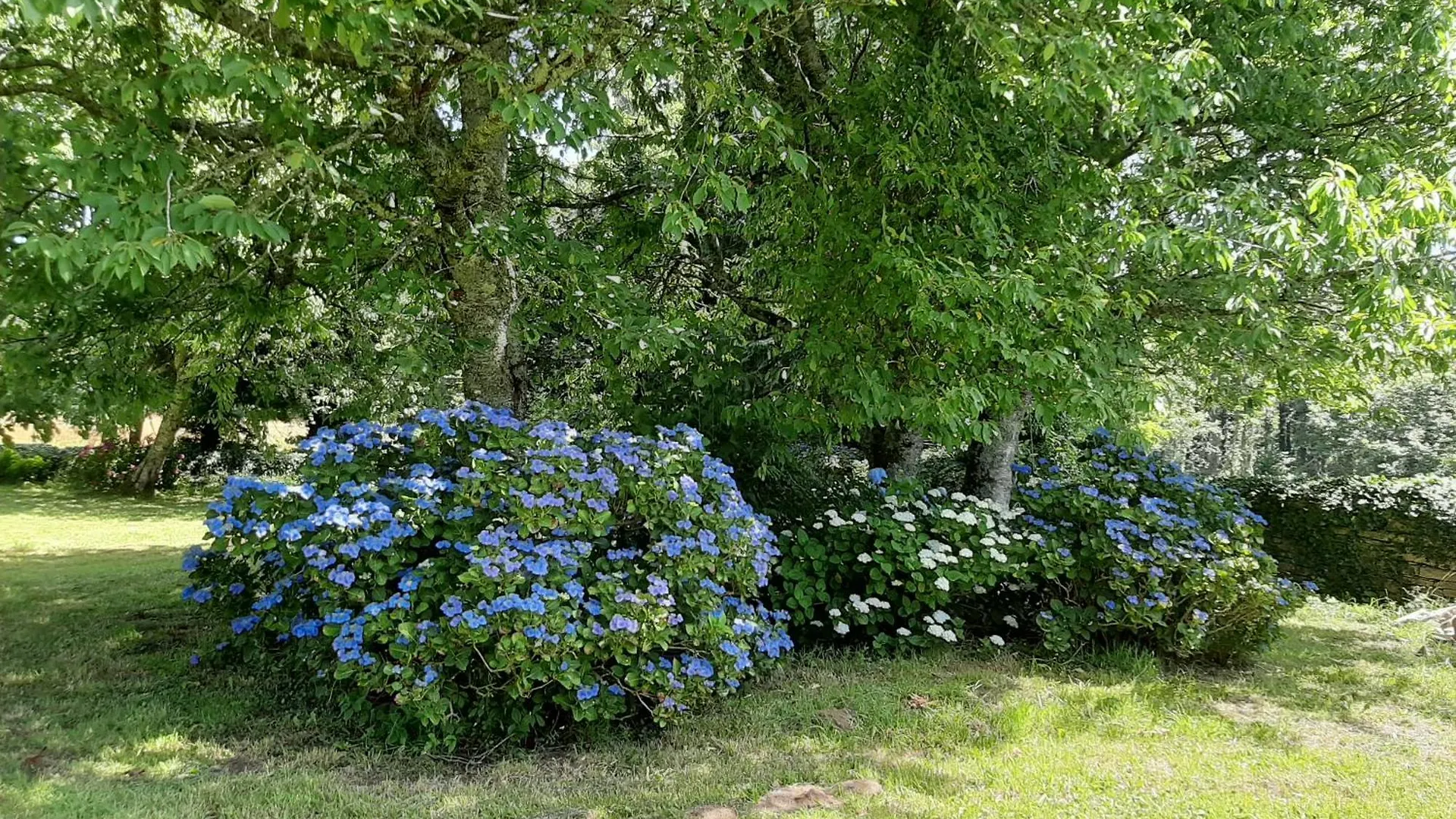 La Sellerie Villa Concarneau 0*,  France